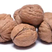 خریدار گردوعمده