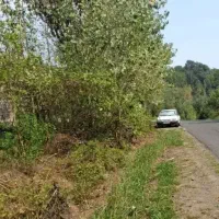 زمین-باغشهر-شمیم-کهمره-سرخی