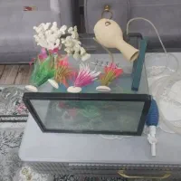 آکواریوم