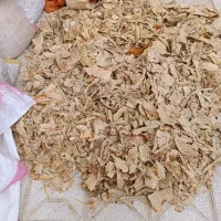 نان خشک تمیز بدون کپک