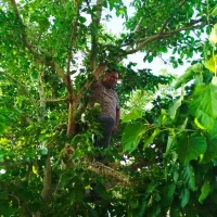 ویلایی در خیابان جانباز