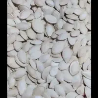 کدو پر و بوجار لیزری شده کیلو۲۹۰