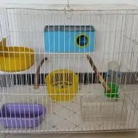 قفس پرنده (سایز بزرگ)