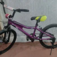 دوچرخه 20 فقط 1500