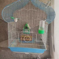 قفس پرنده