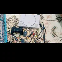 پلی وان