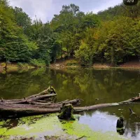 تور مرداب وربن تا هسل|تور و چارتر|تهران, آرژانتین|دیوار