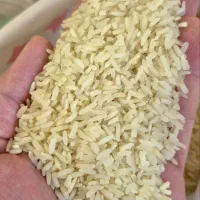 نمایندگی پخش برنج فجر شیراز