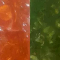 انواع سبزیجات تازه