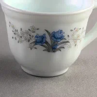 سرویس ارکوپال