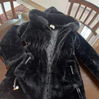 پالتو بچه گانه