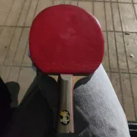 راکت پینگ پنگ dhs