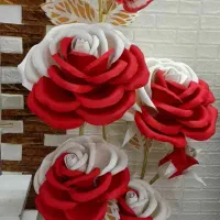 کنار سالنی باژور دار