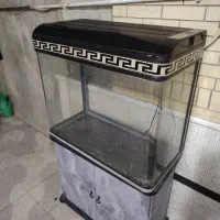 اکواریوم شرکتی شیشه خم