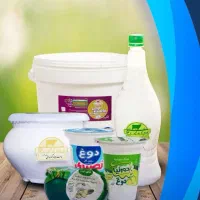 راننده به همراه  نیسان مسقف و یخچالدار