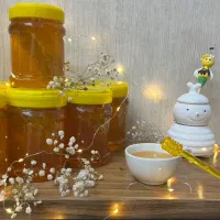 عسل گون طبیعی