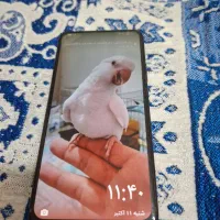 گوشی هواوی وای 9 پرایم