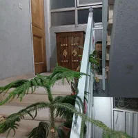 سوئیت ۲۰ متری تمیز در مرکز فلاورجان|اجارهٔ کوتاهمدت آپارتمان و سوئیت|فلاورجان, |دیوار