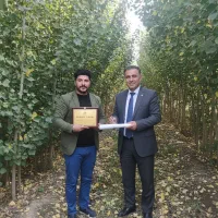 سرمایه‌گذاری سبز با نـهـال صـنوبـر