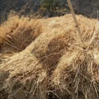 فروش علف خشک