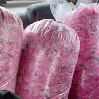 گلاب ناب کاشان|خوردنی و آشامیدنی|کاشان, کشاورز|دیوار