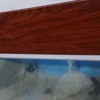 آکواریوم شرکتی شیشه خم