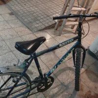 دوچرخه ۲۴|دوچرخه، اسکیت، اسکوتر|تهران, مشیریه|دیوار