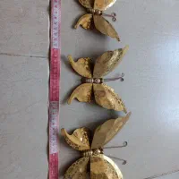 پروانه برنزی