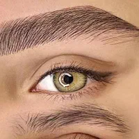 آموزش وخدمات هفت لاین آرایشگری تخصصی|خدمات آرایشگری و زیبایی|شیراز, دکتر حسابی|دیوار