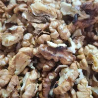 گردو تویسرکان|خوردنی و آشامیدنی|قم, پردیسان|دیوار