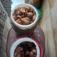 سیر ترشی ۵ساله|خوردنی و آشامیدنی|تهران, خاوران|دیوار