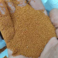 خاکشیر درجه یک