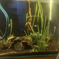 اکواریوم با وسایل کامل وماهی