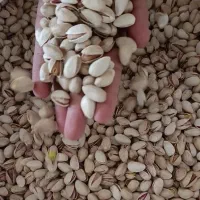 پسته درجه یک و آجیلی لوکس رفسنجان