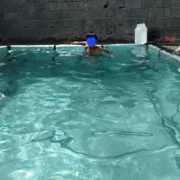 باغ