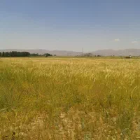 زمین جهت سرمایه گذاری معاوضه با ملک مرند.جلفا|فروش دفتر صنعتی، کشاورزی، تجاری|مرند, |دیوار