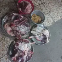 قصاب سیار وخوش قول|خدمات پذیرایی، مراسم|اندیمشک, |دیوار