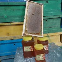 عسل طبیعی دلاو کیلو 990