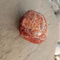 سنگ زینتی