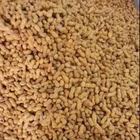 بادام زمینی و تخمه کانادایی آقای ایزی