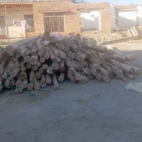 چوب سقفی|مصالح و تجهیزات ساختمان|رودشت (چهارمحال و بختیاری), |دیوار