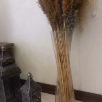 فروش لوازم خانه و خرد و ریز
