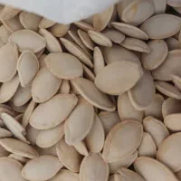 تخمه کدو گوشتی