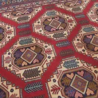 فرش دست بافت ترکمن|فرش|گلبهار, شهر جدید گلبهار|دیوار