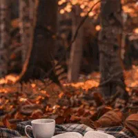 فروش 222متر زمین سند دار در پسکلایه بزرگ