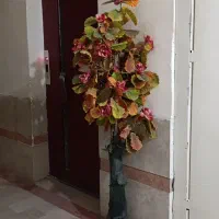 درختچه مصنوعی|گل مصنوعی|مراغه, |دیوار