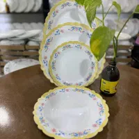 ارکوپال|ظروف سرو و پذیرایی|نورآباد ممسنی, |دیوار