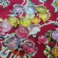ماهی اکواریوم
