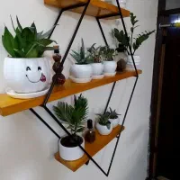 دکوراسیون گل و مجسمه شیک|کتابخانه، شلف، قفسه‌های دیواری|کنگاور, |دیوار