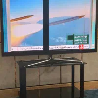 تلویزیون